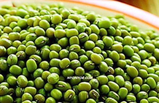 Harga Kacang Hijau Per Kilo Terbaru