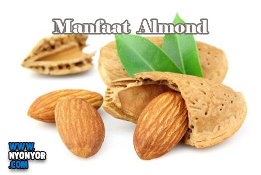 Manfaat Kacang Almond Bagi Kesehatan