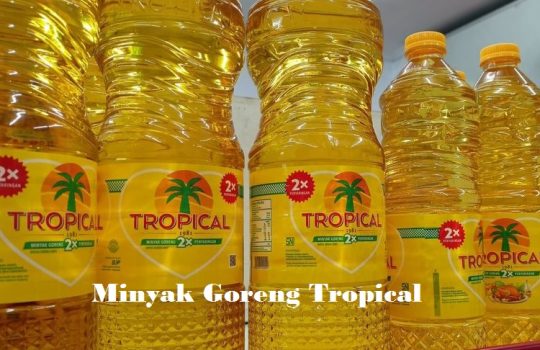 Harga Minyak Goreng Tropical Terbaru